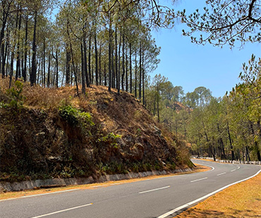 himachal-road
