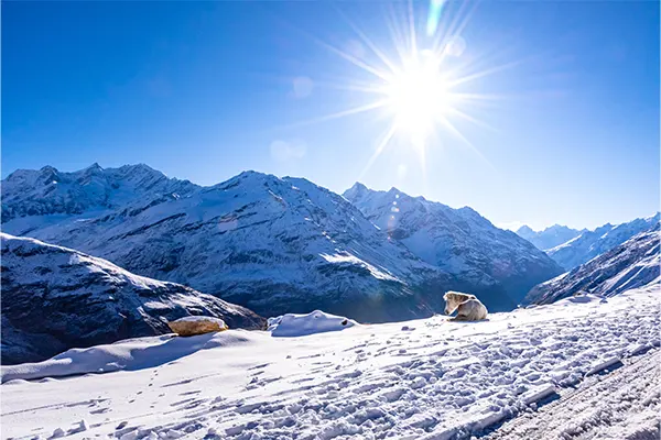 Rohtang Pass in Winter