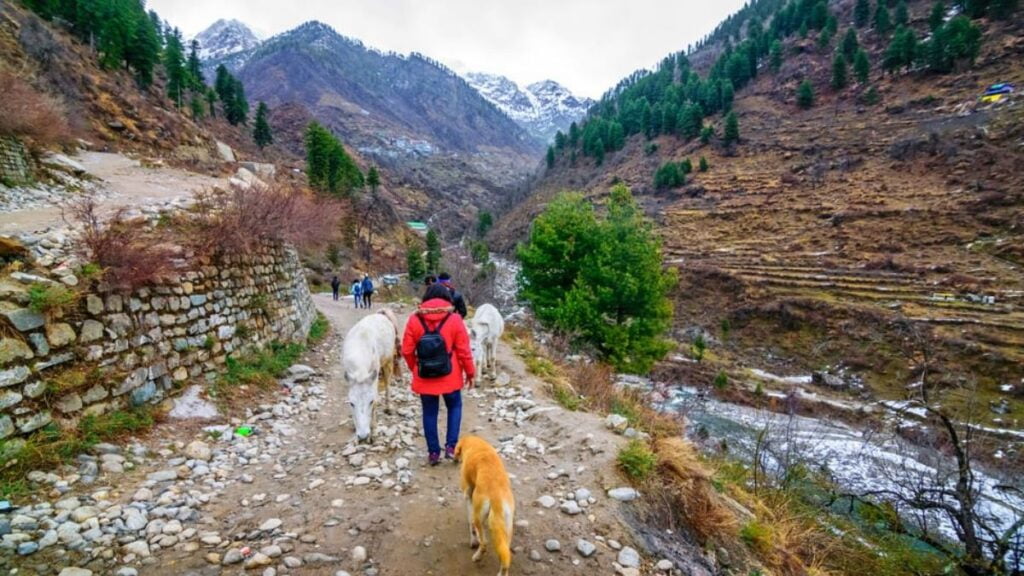 Kheerganga Trek Guide