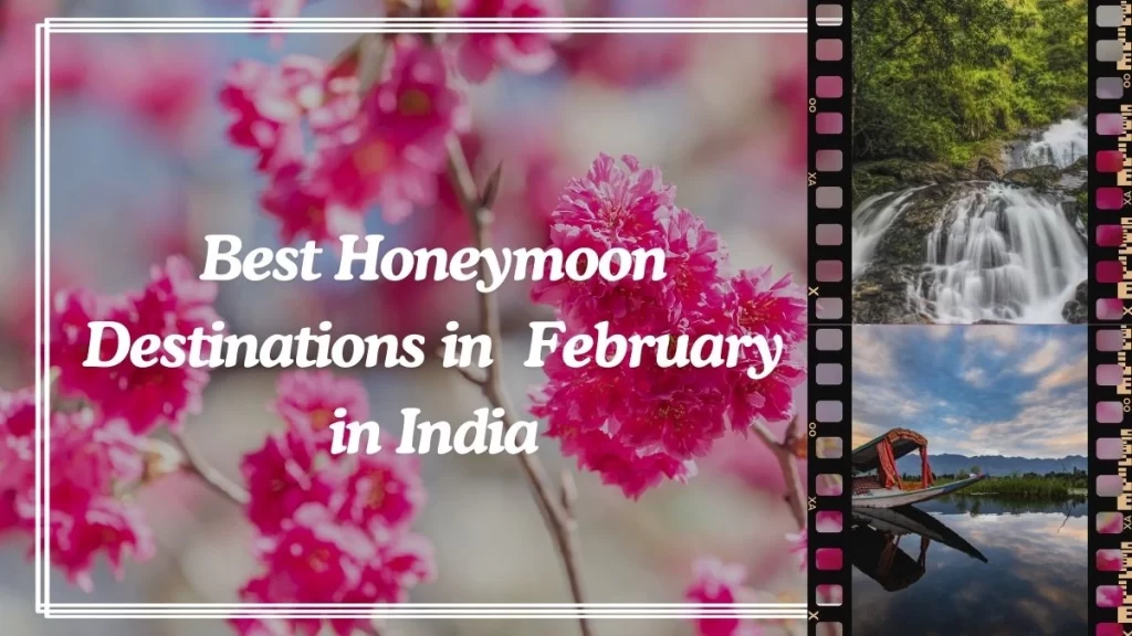 Best Honeymoon destinations in India in February