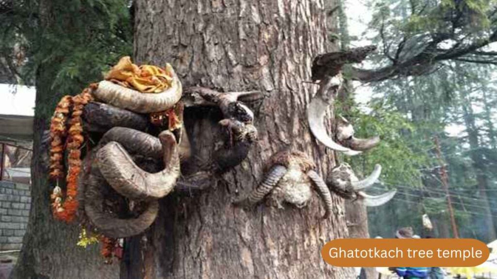 Temples in Manali - Ghatotkach tree temple